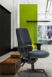 ErgoSelect Spark High Back Chair
