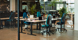 RH Mereo 300 Chair