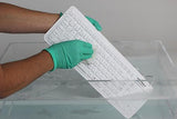 Seal Glow Waterproof Keyboard