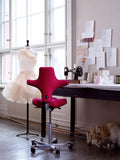 HÅG Capisco Saddle Chair