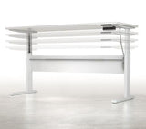 Ergo Electric Height Adjustable Desk
